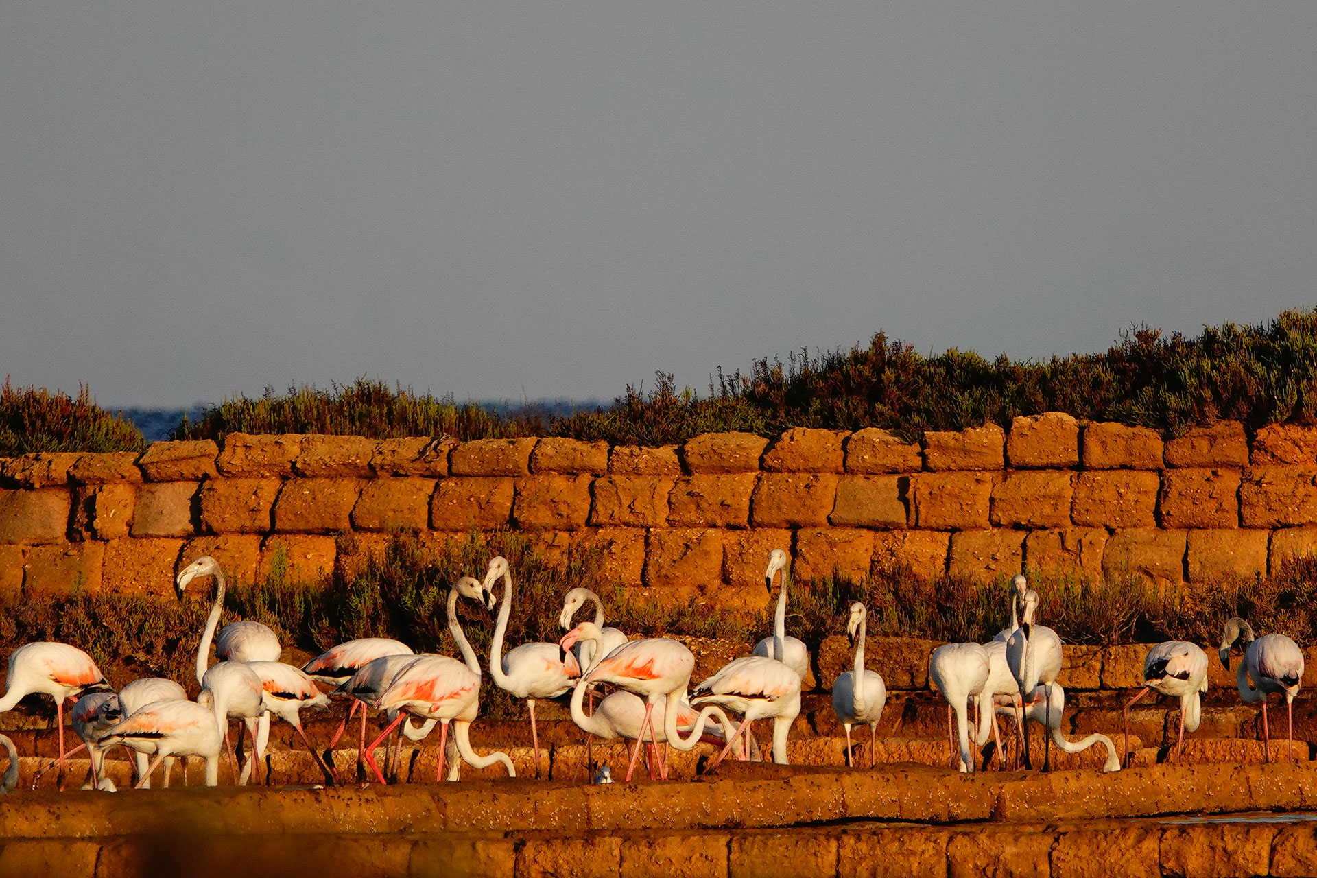 termini-e-condizioni